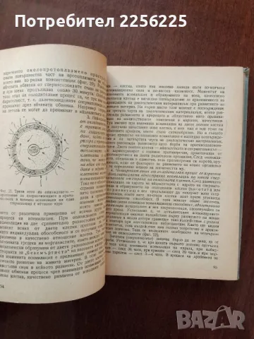 Наръчник по изкуствено осеменяване, снимка 4 - Специализирана литература - 50440149