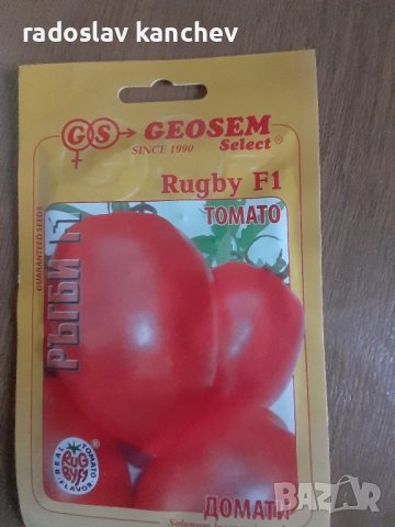 Семена домати Пинк Рок и Пинк Торнадо,Ръгби, снимка 1 - Разсади - 36159206