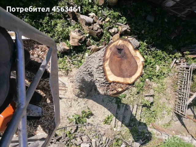 Продавам дървен материал ОРЕХ , снимка 5 - Други - 51354034