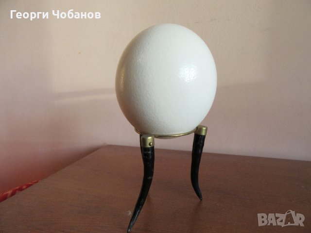 Щраусово яйце