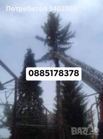 Рязане на високи и опасни дървета и почистване на дворове от треви и храсти., снимка 11 - Градинска техника - 36933277