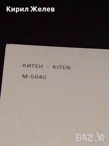 Две стари картички от Българското Черноморие Слънчев бряг, Китен много красиви 10363, снимка 11 - Колекции - 43111924