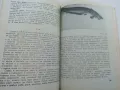 За младия Ловец и Риболовец - Б.Арнаудов,Г.Оцетов - 1975г., снимка 6