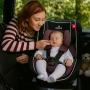 Столче за кола Zizito Amadeo, 0-36 кг, с IsoFix, снимка 2