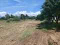 Парцел в близост до гръцката граница, снимка 3