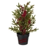 Елха с червени плодове в саксия-30 см./изкуствена елха, снимка 1