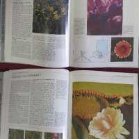 1987г. Албум Книга Снимане на дивите животни и природата, снимка 7 - Антикварни и старинни предмети - 27553425