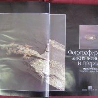 1987г. Албум Книга Снимане на дивите животни и природата, снимка 2 - Антикварни и старинни предмети - 27553425