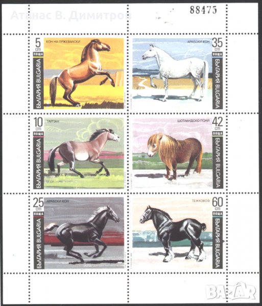 Чисти марки в малък лист Фауна Коне 1991 от България, снимка 1