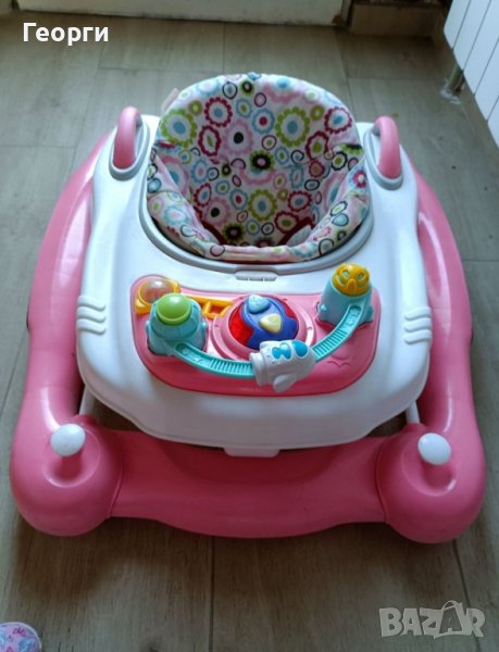 проходилка паяк, снимка 1