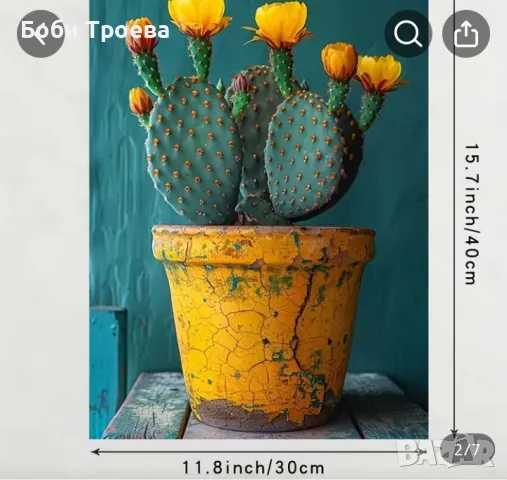 Ярък Печат на Художествен Платно с Кактуси - с Рамка, Рустикален Дървен Фон с Цветни Цветя,, снимка 3 - Картини - 50087032