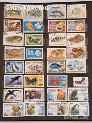 Пощенски марки тема ”Животни”.