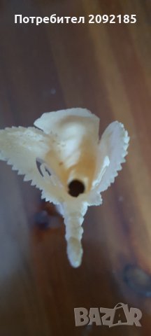 Склуптура от кост, снимка 5 - Колекции - 33507616