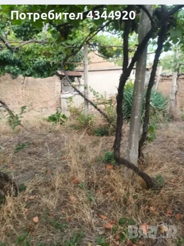 Къща в С. Памидово , снимка 4 - Къщи - 53376832