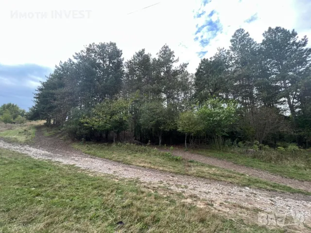 Къща - с. Пробуда/ №8645, снимка 5 - Къщи - 49889405