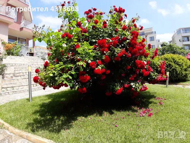 Собственик Продава Самостоятелна Къща в гр. Бургас, кв. Сарафово , снимка 17 - Къщи - 48889044