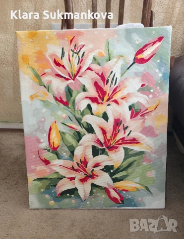 Картина рисувана по номера Лилюми 