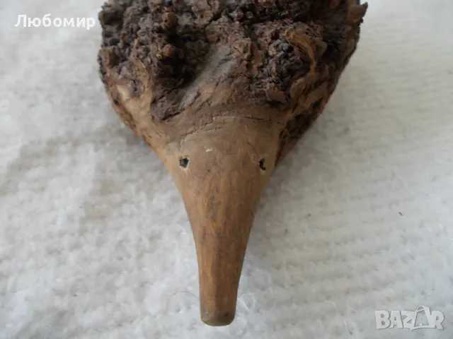 Семейство таралежи - от природата, снимка 3 - Колекции - 47343035