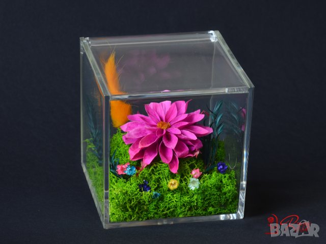 Вечни Цветя в Акрилна Кутия / Стилен Подарък за Рожден Ден на Жена / Естествена Вечна Далия в Кутия, снимка 5 - Подаръци за жени - 43749243