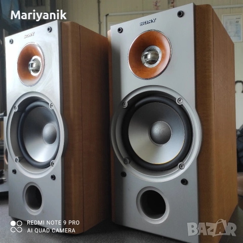 Sony Ss-NX1, снимка 3 - Тонколони - 53381672