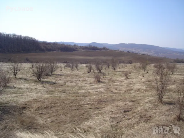 продавам парцел, снимка 4 - Парцели - 49074868