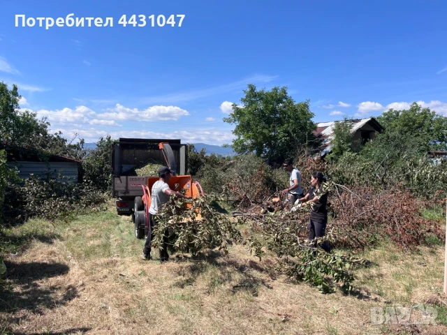 Почистване на запустели терени, снимка 1