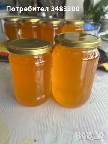 Домашен пчелен мед, снимка 3 - Пчелни продукти - 53240568