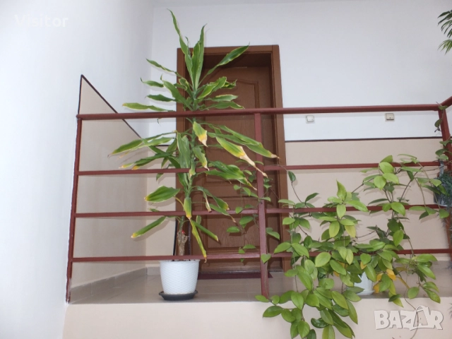 Fujifilm FinePix F770EXR   16 MPx, снимка 18 - Фотоапарати - 52836329