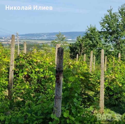 Парцел с ПУП в село Доброглед, снимка 13 - Парцели - 43433533