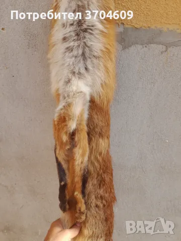 Кожа от лисица, снимка 6 - Шапки - 47438294