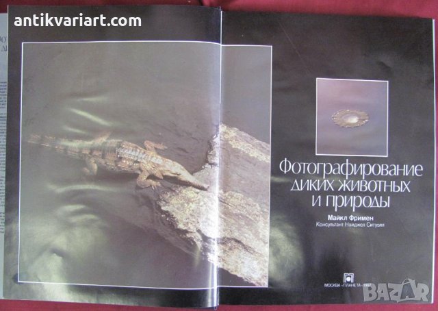 1987г. Албум Книга Снимане на дивите животни и природата, снимка 2 - Антикварни и старинни предмети - 27553425