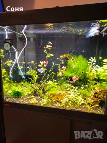 Аквариум с поставка / шкаф EHEIM Vivaline 150 + цялостно оборудване