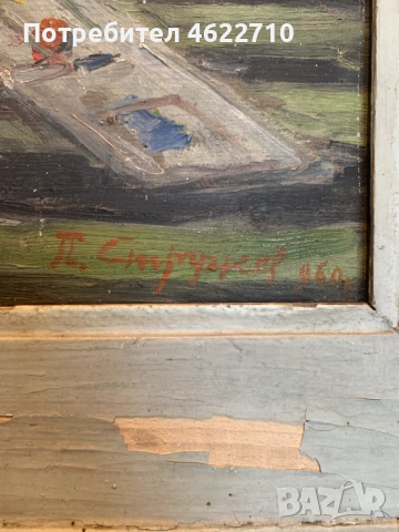 стара картина натюрморт от П Стружев от 1960г, снимка 11 - Картини - 53307054