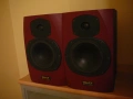TANNOY REVEAL  MONITORNI, снимка 3