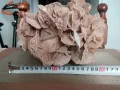 Прекрасна и огромна Пустинна роза от Сахара.Цената е твърда., снимка 7