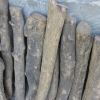 Чемшир - дървен материал за украсна резба, снимка 11 - Антикварни и старинни предмети - 18621658