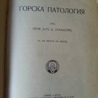 Горска ботаника от Никола Пенев-1940 г. / Горска патология от Д.Атанасов-1939 г. (2 редки издания), снимка 8 - Специализирана литература - 33288398