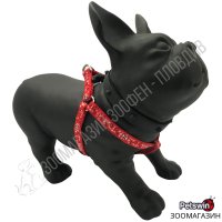Нагръдник за Куче - XS, S, M, L - 4 размера - Dog Harness A Cute Bones Red - Pet Interest, снимка 1 - За кучета - 39011183