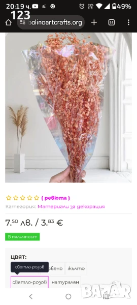 Гипсофил , снимка 1