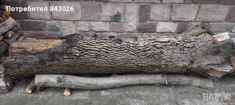 Продавам орехови трупи , снимка 1