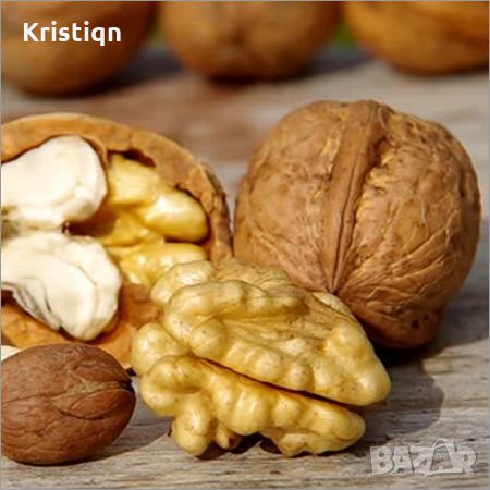 Градински орех и орехова ядка, снимка 1