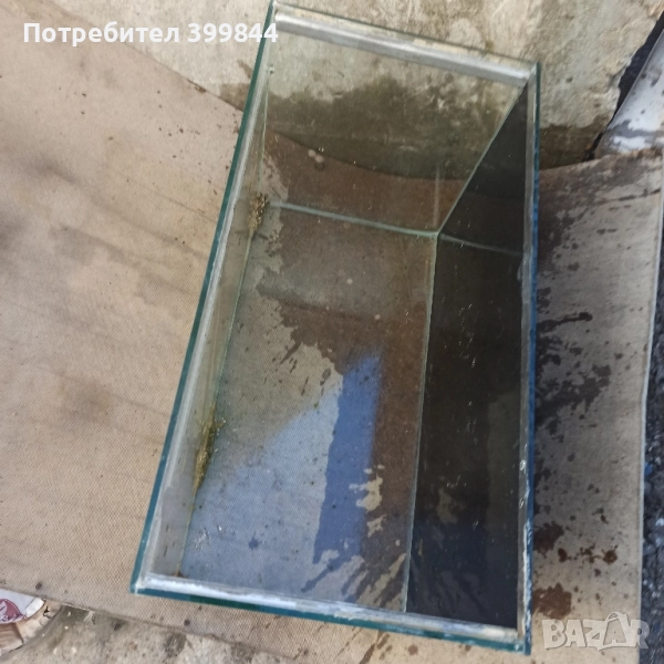 аквариум, снимка 1