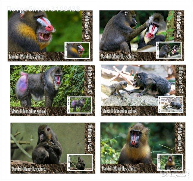Чисти блокове Фауна Маймуни Мандрили 2020 от Тонго, снимка 1