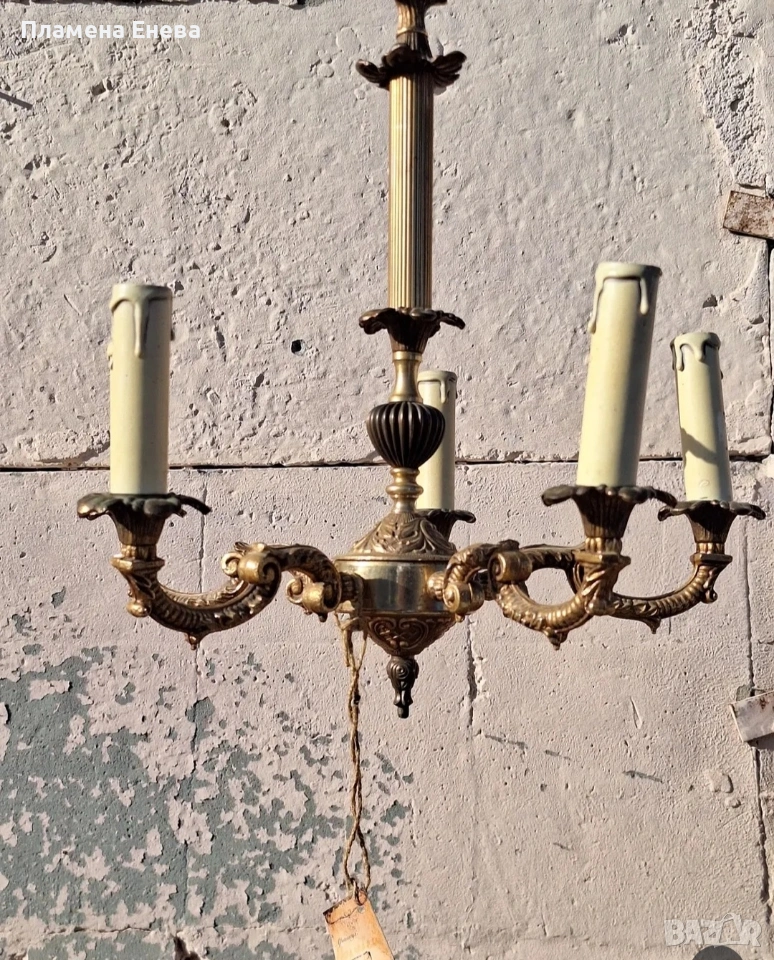 Бронзов полилей , снимка 1