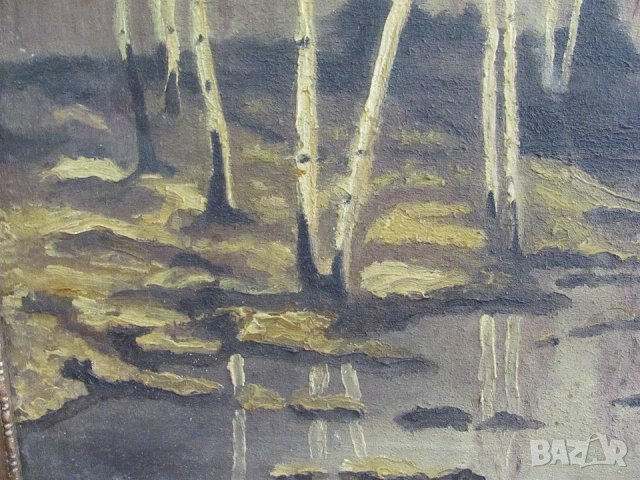 Много Стара Картина Масло Платно Подписана 60х40см., снимка 5 - Картини - 43164881