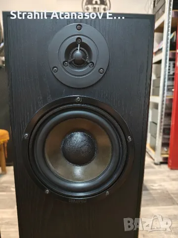 Visaton ALTO II Двулентови Тонколони, снимка 7 - Тонколони - 50282271