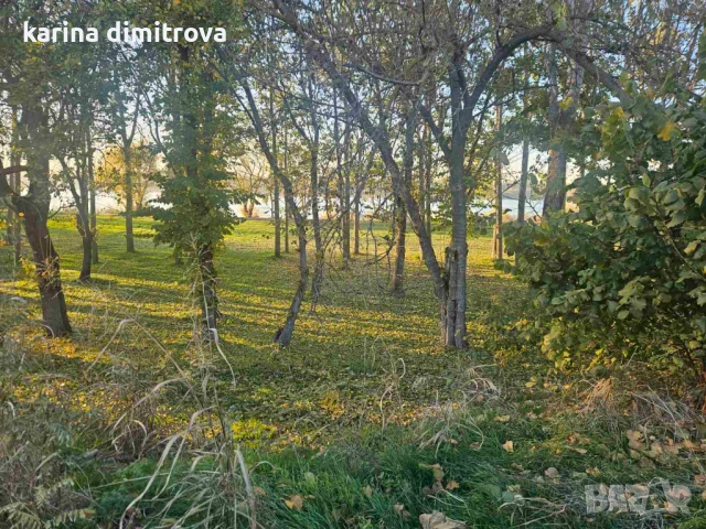 Продавам парцел в с. Мечка, снимка 5 - Парцели - 53255013