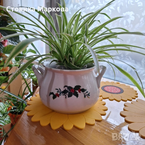 Голяма кашпа, снимка 4 - Саксии и кашпи - 52330849