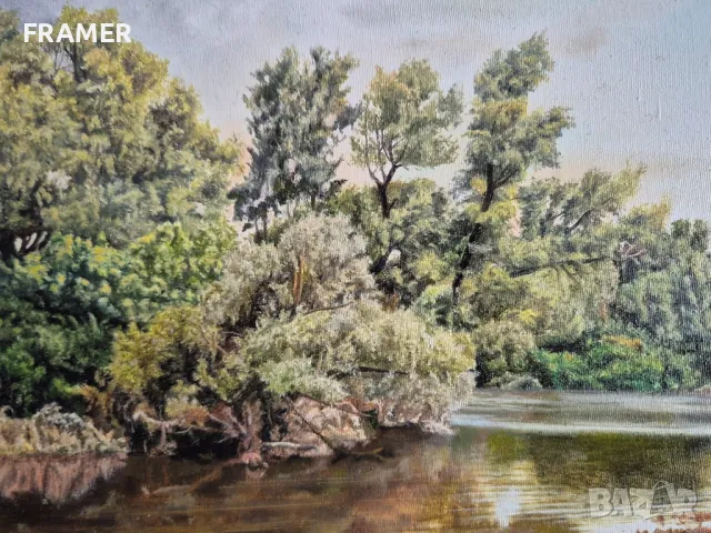 Петър Момчилов Птици край реката 2023г. маслени бои платно, снимка 3 - Картини - 48282677