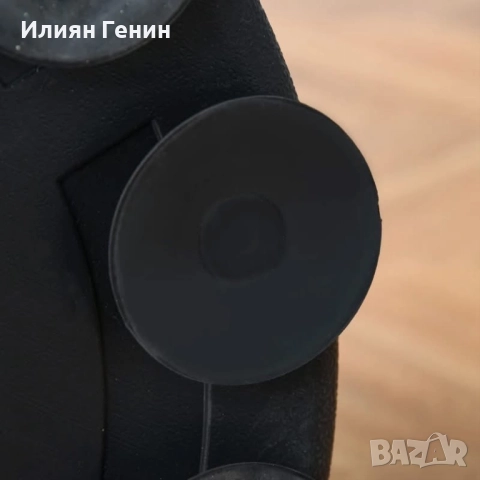 Боксова круша, снимка 3 - Бокс - 52643903